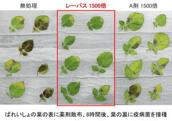 フロー効果-2